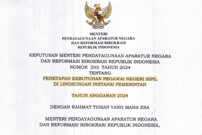 Formasi CPNS 2024 PDF